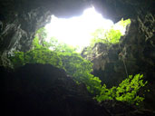 ถ้ำไทร ท่องเที่ยวถ้ำไทร ท่องเที่ยวถ้ำไทร สถานที่ท่องเที่ยว จ.ประจวบคีรีขันธ์ 